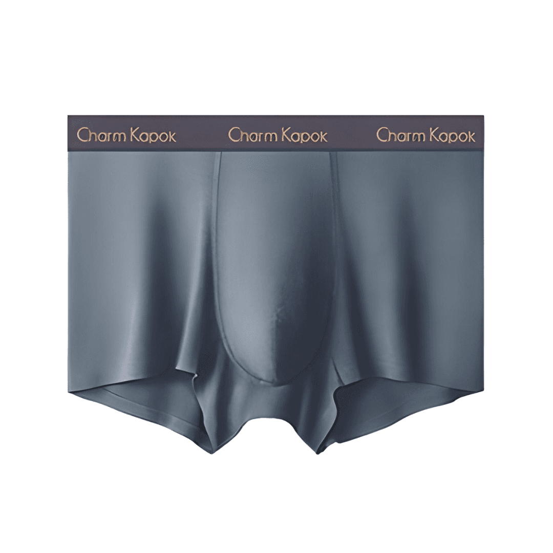 Men's Silk Underwear Gray